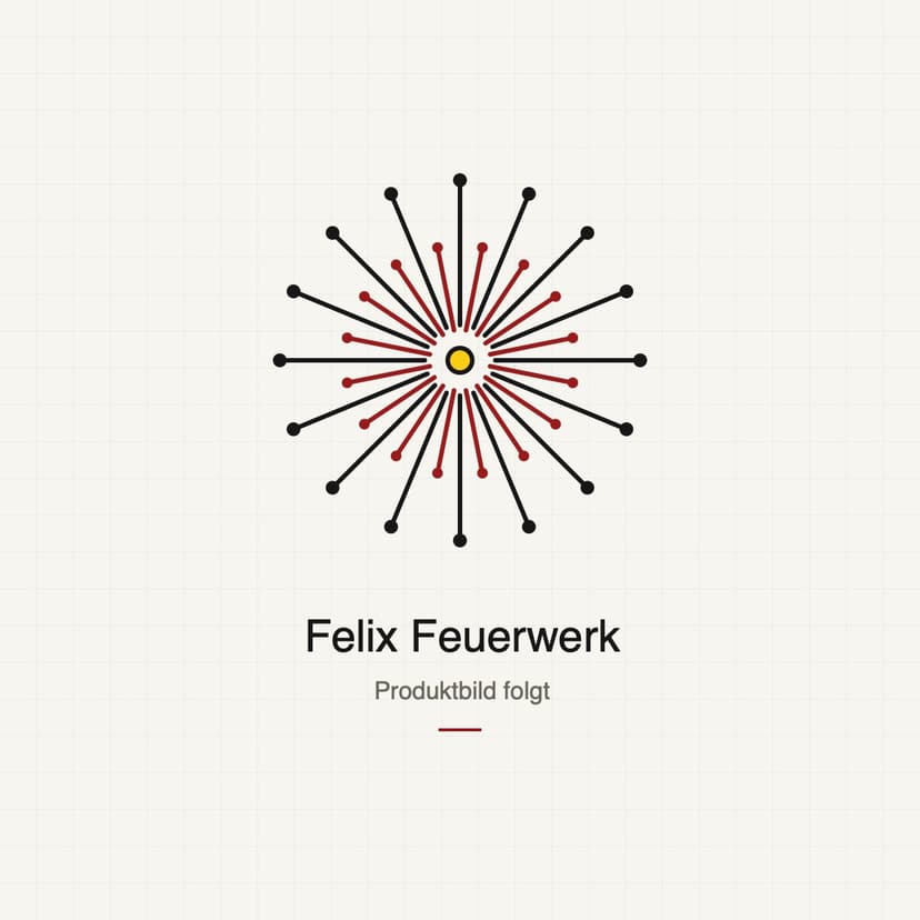 Plastik Schweiz - Fähnli aus Plastik Feuerwerk kaufen Frauenfeld