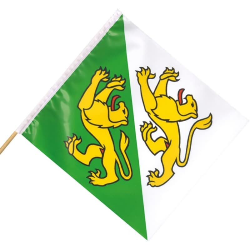 PLASTIKFÄHNLI 5 x Kanton TG Feuerwerk kaufen in Frauenfeld - Felix Feuerwerk