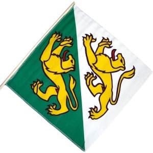 STOFFFAEHNLI  30/ 30 Kt. TG - Fähnli Stoff Kantone Feuerwerk kaufen Frauenfeld