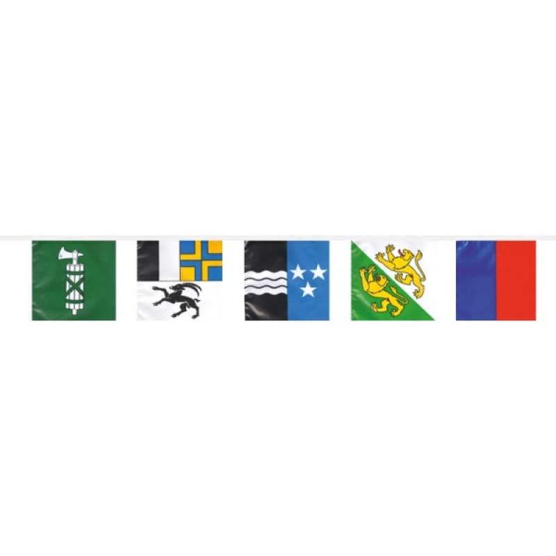 GIRLANDE 8m alle Kantone PVC Feuerwerk kaufen in Frauenfeld - Felix Feuerwerk